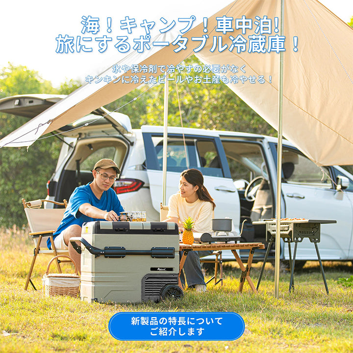 小型ミニ冷蔵庫  -20～20℃   車載  2ドア  ポータブル キャンプ アウトドア 車中泊 静音
